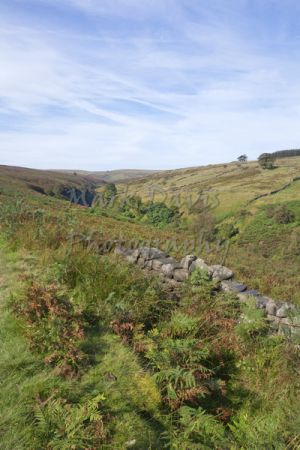 haworth moor rooute to top withens 6.jpg